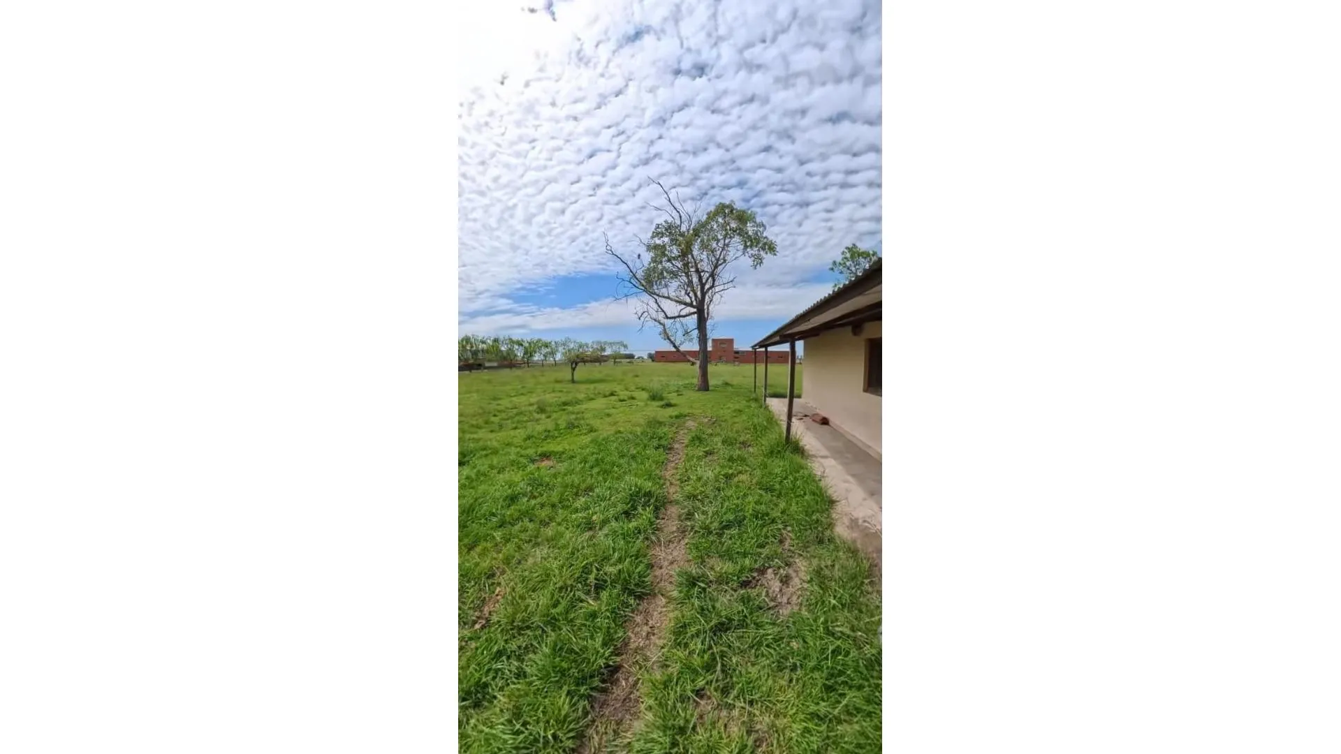 CAMPO DE 488 HECTÁREAS EN VENTA – SALADILLO