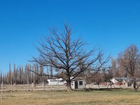 Terreno en Venta en Neuquén, Confluencia