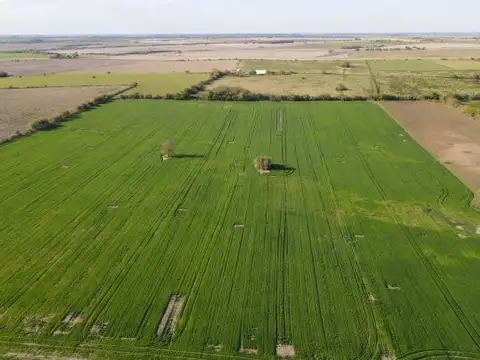 Campo en Venta en Victoria, Entre Ríos