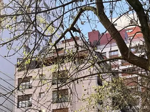 Departamento en Alquiler en Belgrano, CABA