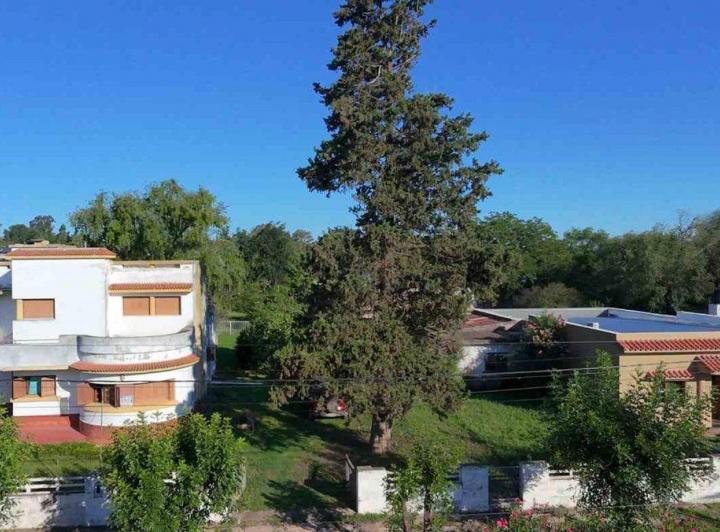 Casa · 200m² · 7 Ambientes · 3 Cocheras