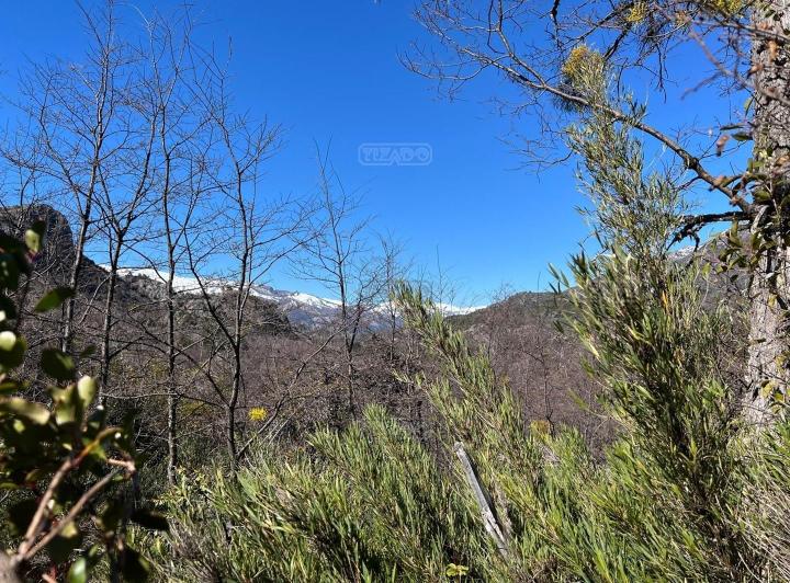 Terreno · 10648m²