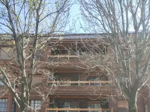 Departamento en Alquiler en Martínez Santa Fe / Fleming, Martínez