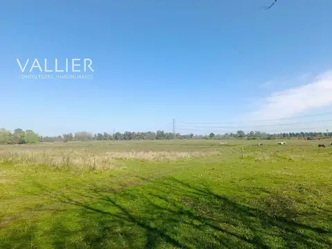Campo en Alquiler en Pilar, Partido de Pilar