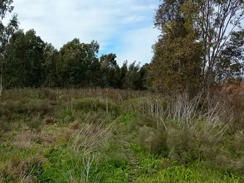 Campo en Venta en Arana, Partido de La Plata
