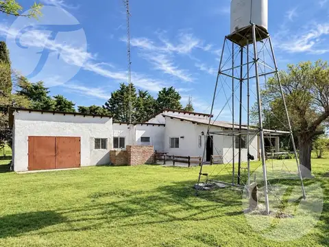 Campo en Venta en Doyle, Partido de San Pedro