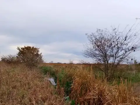 Campo en Venta en Arrecifes, Partido de Arrecifes
