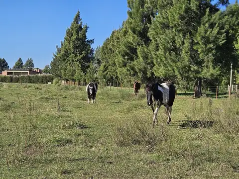Casa en Venta en Coronel Brandsen, Partido de Brandsen