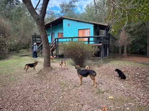Casa en Venta en Tigre Centro, Partido de Tigre