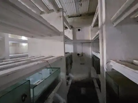 Casa en Venta en Remedios de Escalada, Partido de Lanús