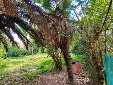 Terreno en Venta en Villa Elisa, Partido de La Plata
