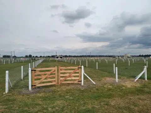 Terreno en Venta en Domselaar, Partido de San Vicente