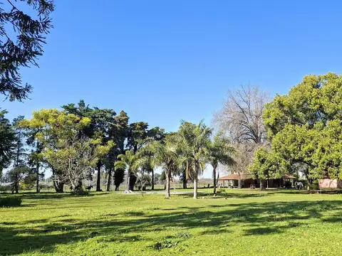 Quinta en Alquiler en Parada Robles, Partido de Exaltación de la Cruz