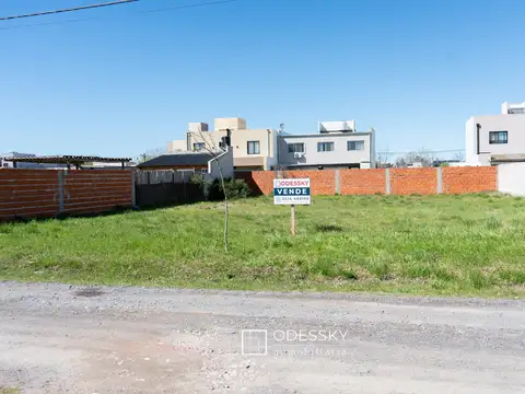 Terreno en Venta en Alejandro Petion, Partido de Cañuelas