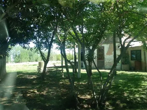 Quinta en Venta en María Ignacia, Partido de Tandil