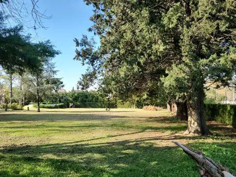 Quinta en Venta en Villa Elisa, Partido de La Plata