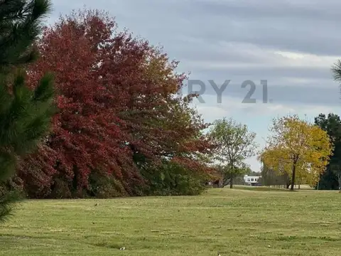 Terreno en Venta en Carlos Keen, Partido de Luján