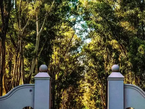 Terreno en Venta en Villa Ruiz, Partido de San Andrés de Giles