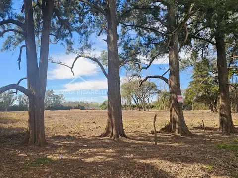 Terreno en Venta en Los Pinos, Exaltación de la Cruz