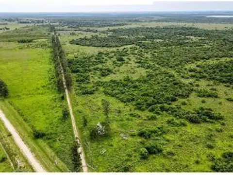 Campo en Venta en Villa Olivari, Ituzaingó