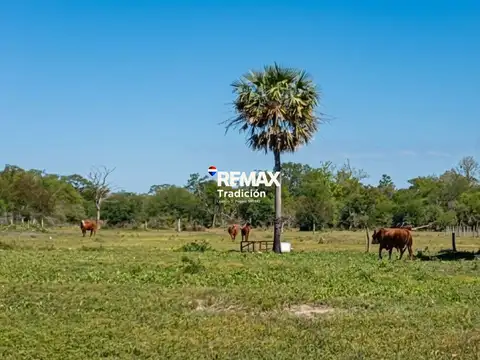Campo en Venta en Samuhu, San Lorenzo
