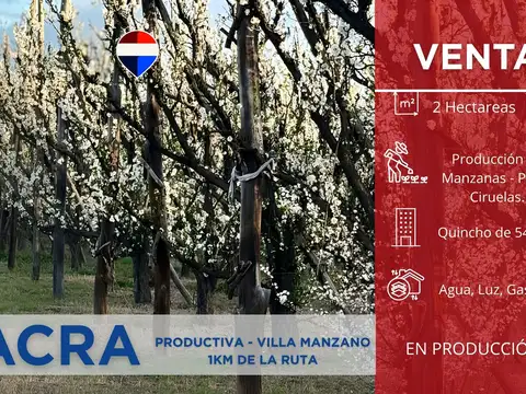 Campo en Venta en Villa Manzano, General Roca