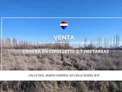 Campo en Venta en Cipolletti, General Roca