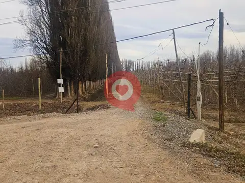 Campo en Venta en Centenario, Confluencia
