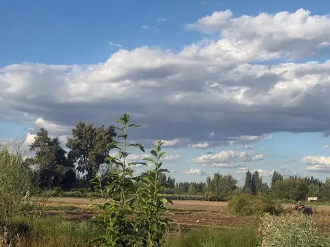Campo en Venta en Rodeo de la Cruz, Guaymallén