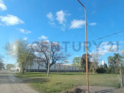 Terreno en Venta en Susana, Castellanos