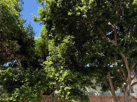 Departamento en Venta en Boedo, CABA