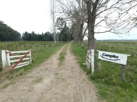 Campo en Venta en Abasto, Partido de La Plata
