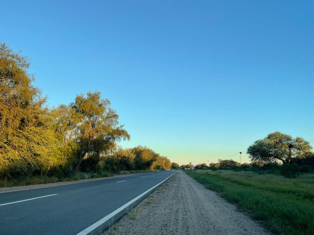 CAMPO MIXTO 346 ha - RUTA NACIONAL 38 CRUZ DEL EJE