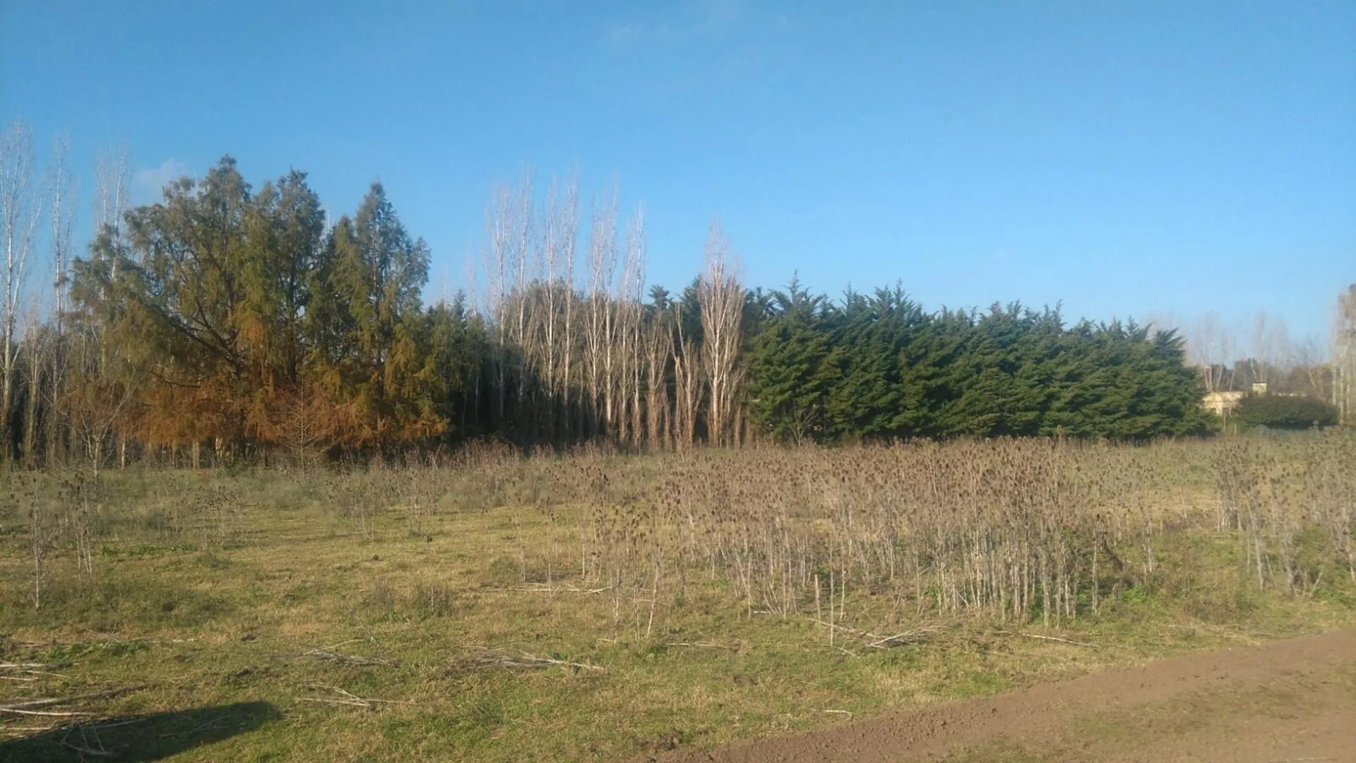 ARECO - ZONA DE QUINTAS - CERCA DEL CAMPO - 2730 M 2