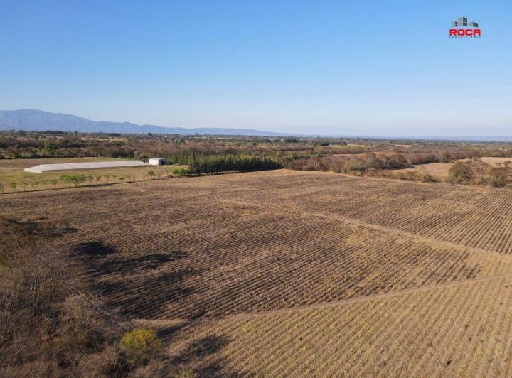 Campo · 12m²