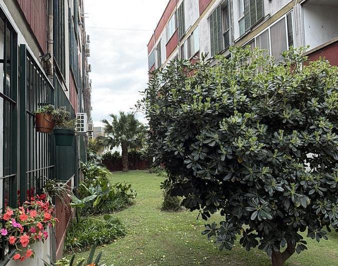 Departamento · 53m² · 3 Ambientes