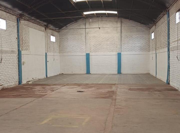 Bodega-Galpón · 300m² · 1 Ambiente