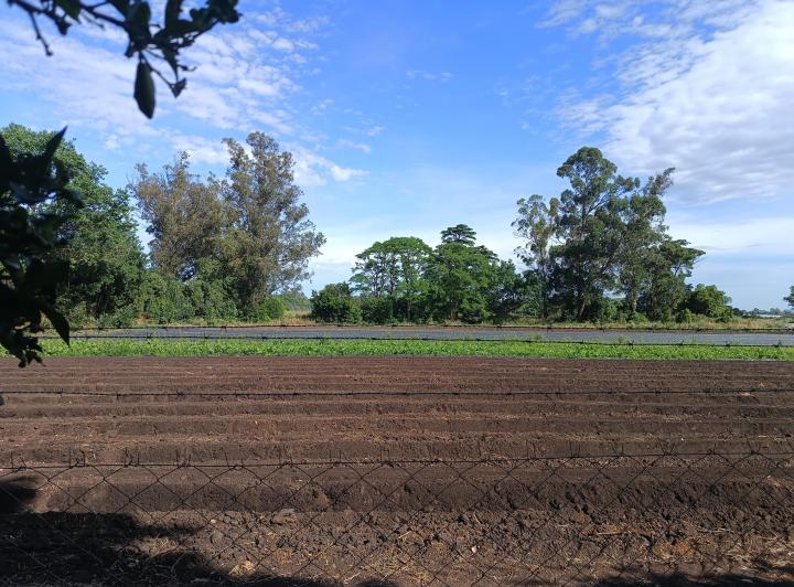 Terreno · 220ha · 6 Ambientes · 1 Cochera