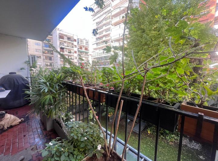 Departamento · 194m² · 4 Ambientes · 1 Cochera