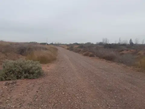Terreno en Venta en Plottier, Confluencia