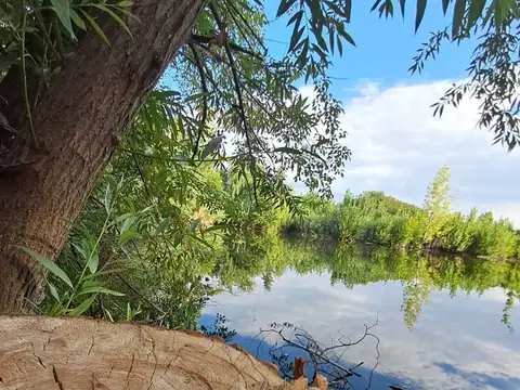Terreno en Venta en Colonia las Rosas, Tunuyán