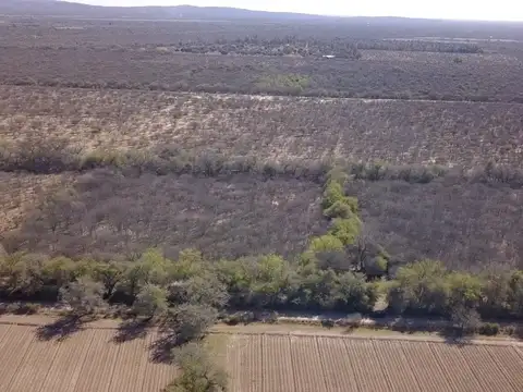 Campo en Venta en Conlara, San Javier