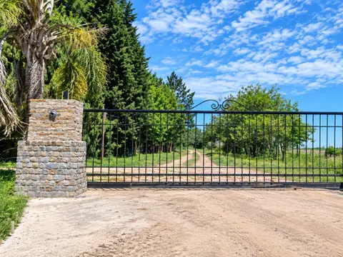 Terreno en Venta en Roldan, San Lorenzo