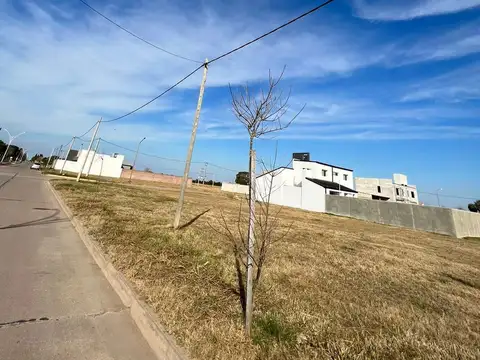 Terreno en Venta en Esperanza, Las Colonias