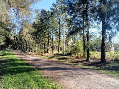 Terreno en Venta en Roldan, San Lorenzo
