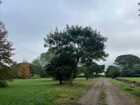 Terreno en Venta en Progreso, Las Colonias