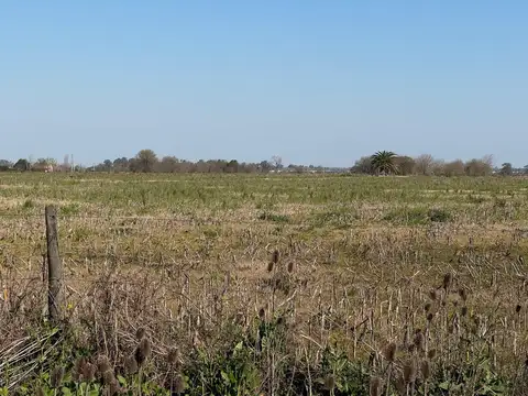 Terreno en Venta en Ibarlucea, Rosario