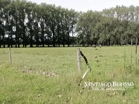 Campo en Venta en Los Cardales, Partido de Exaltación de la Cruz