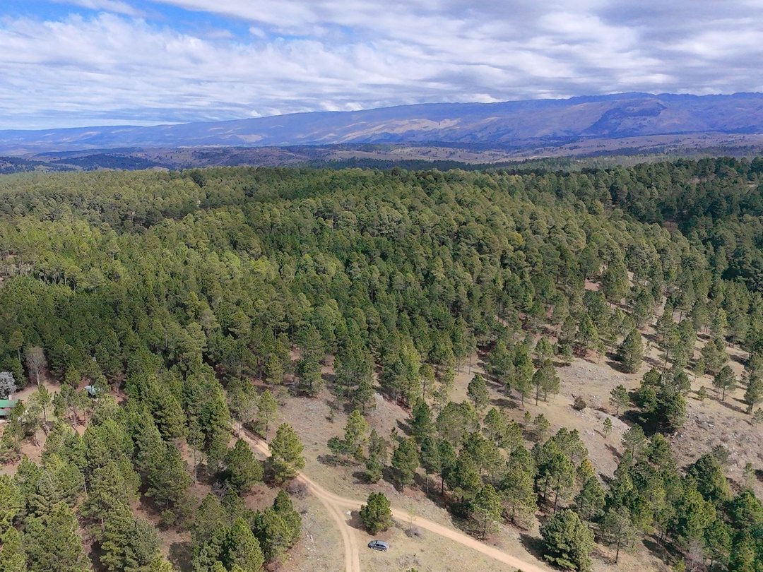 VENTA 3 HECTÁREAS EN INTIYACO – CÓRDOBA