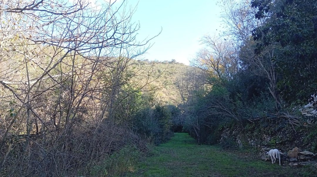 VENTA GRAN LOTE DE 1835M2 EN LA SERRANITA
